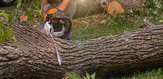Best Aeration Services  in Pampa, TX